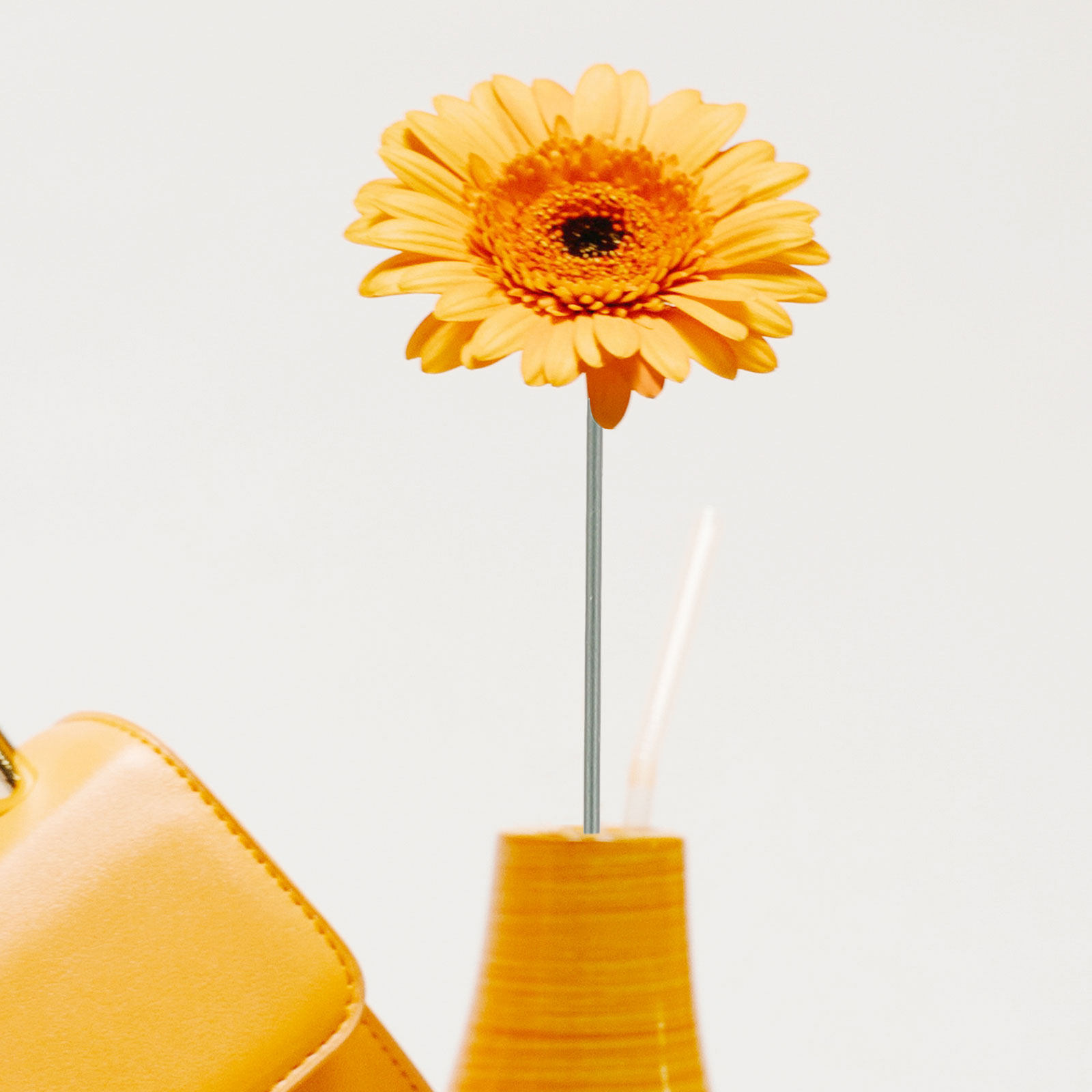 ลวดเหล็กสำหรับจัดดอกไม้สีเขียว - Wire Stem Florist บทวิจารณ์และราคา